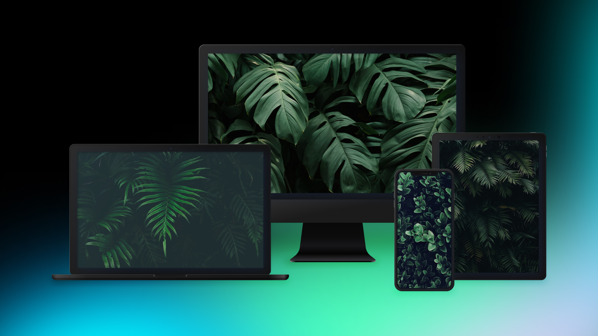 Plants