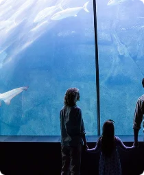Georgia Aquarium