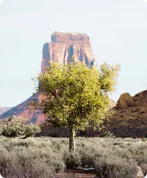 Angel Island State Park