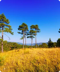Lone Pine State Park