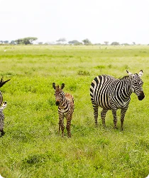 Serengeti National Park