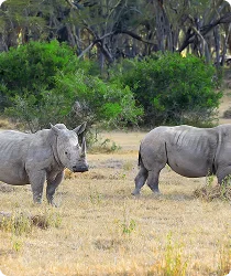 Nyerere National Park