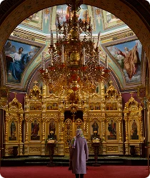 The Metropolitan Museum of Art