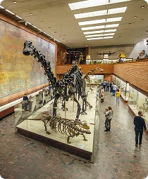 Cincinnati Art Museum