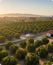 California Citrus State Historic Park