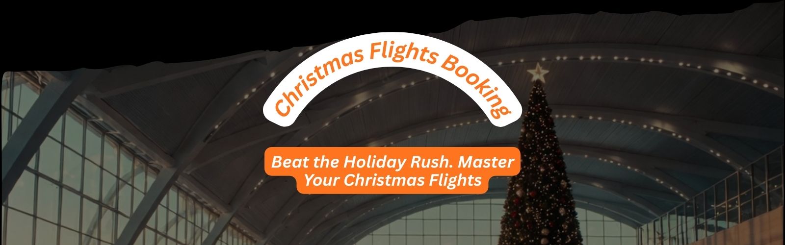 Christmas Flights Booking