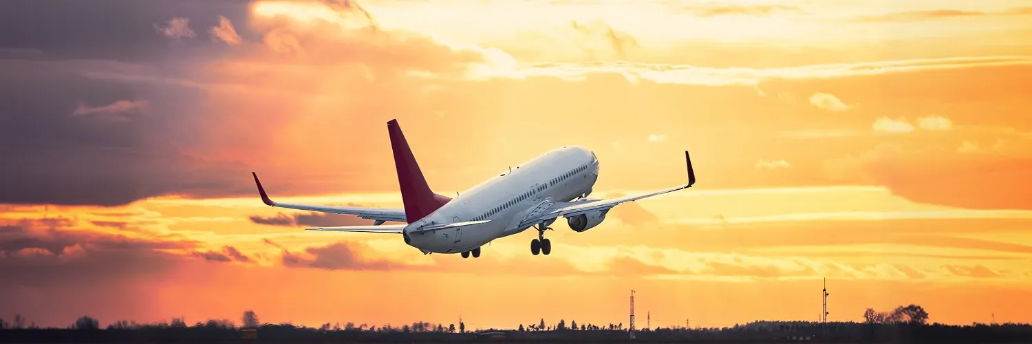 Japan Airlines Flights