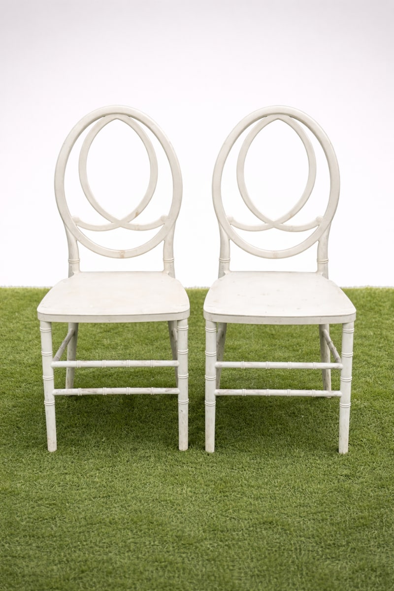 Dior in the Boblys Rentals catalogue. Photo 1 of 1.