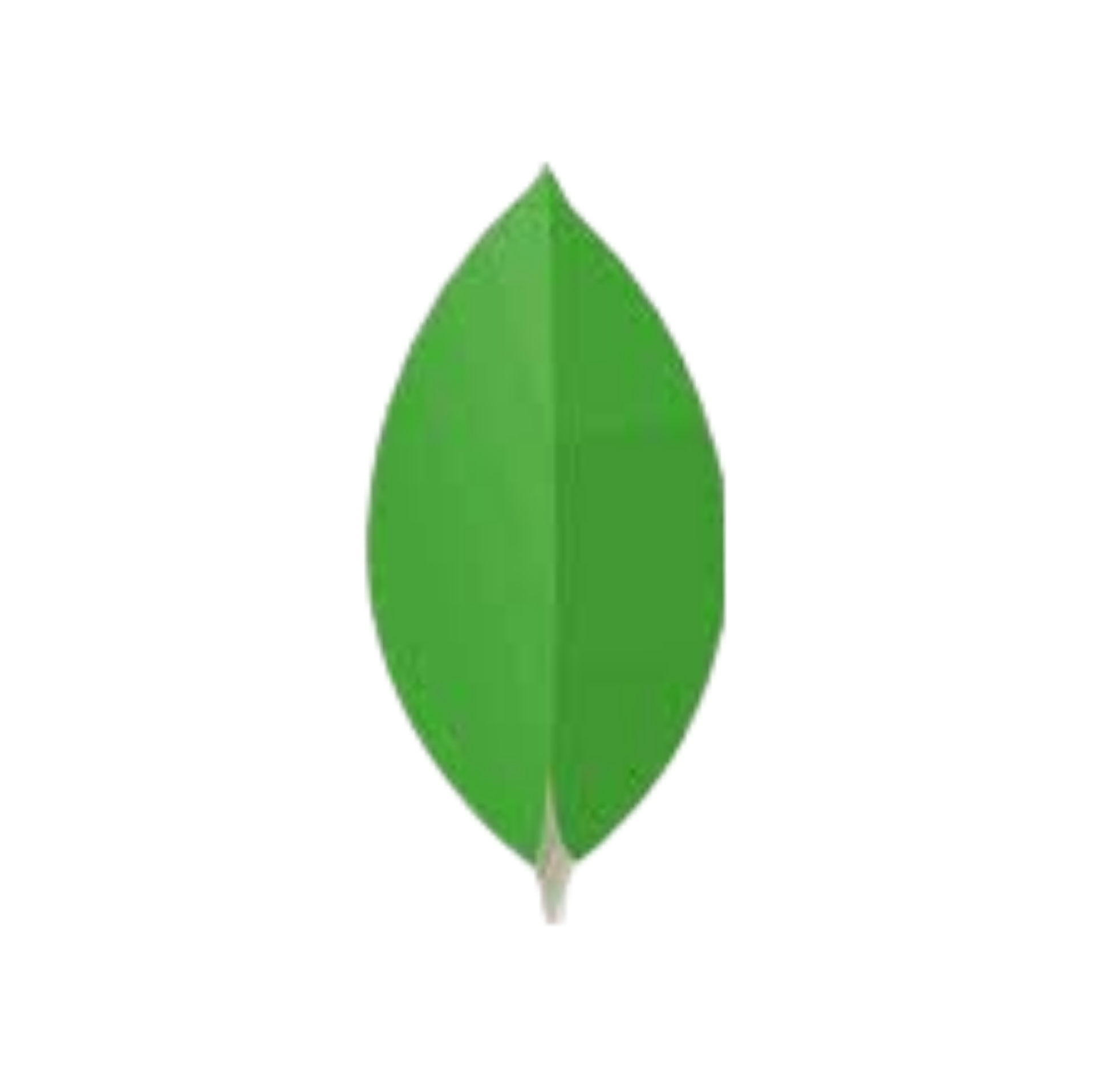 MongoDB logo