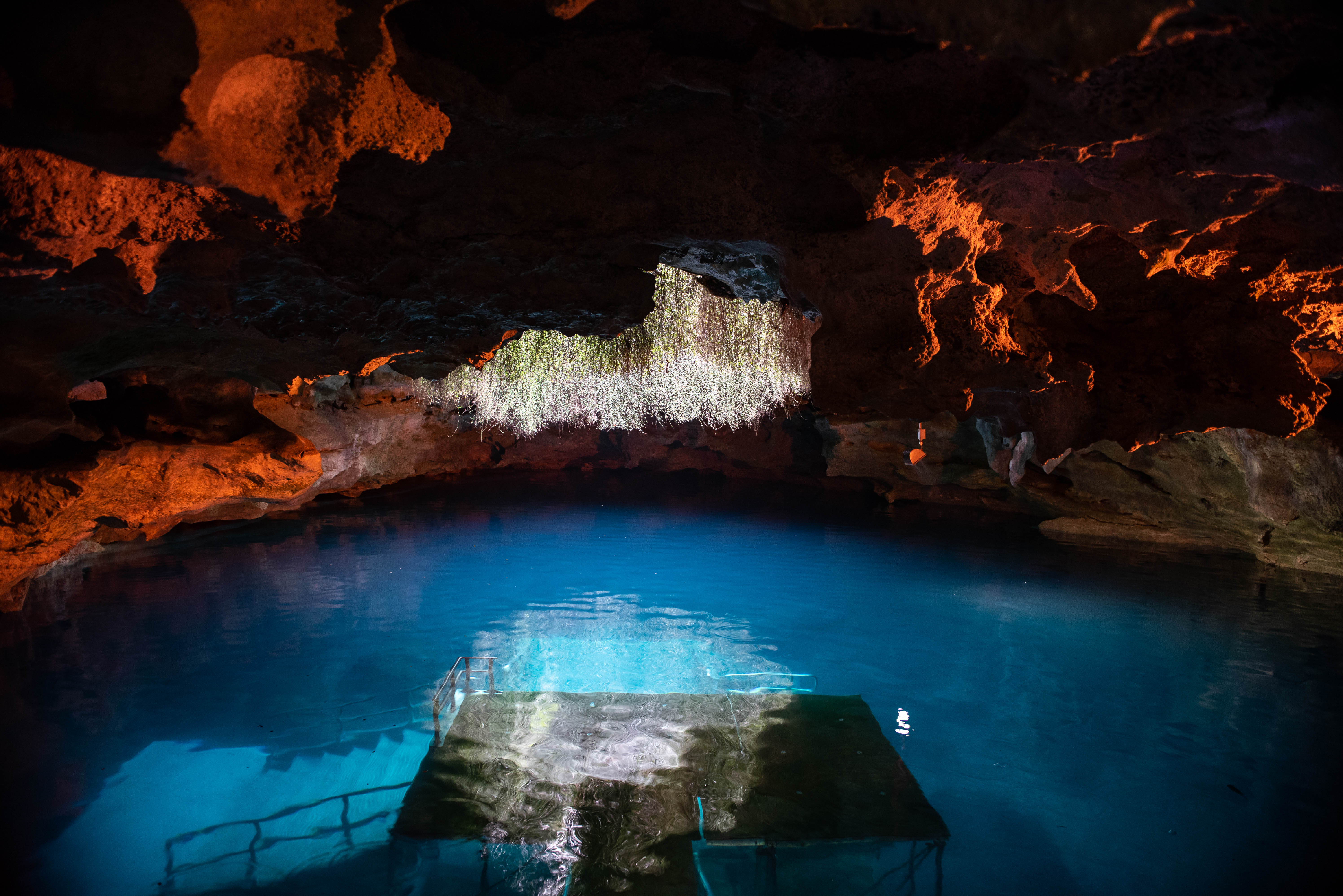 USA - Florida - Devil s Den Spring