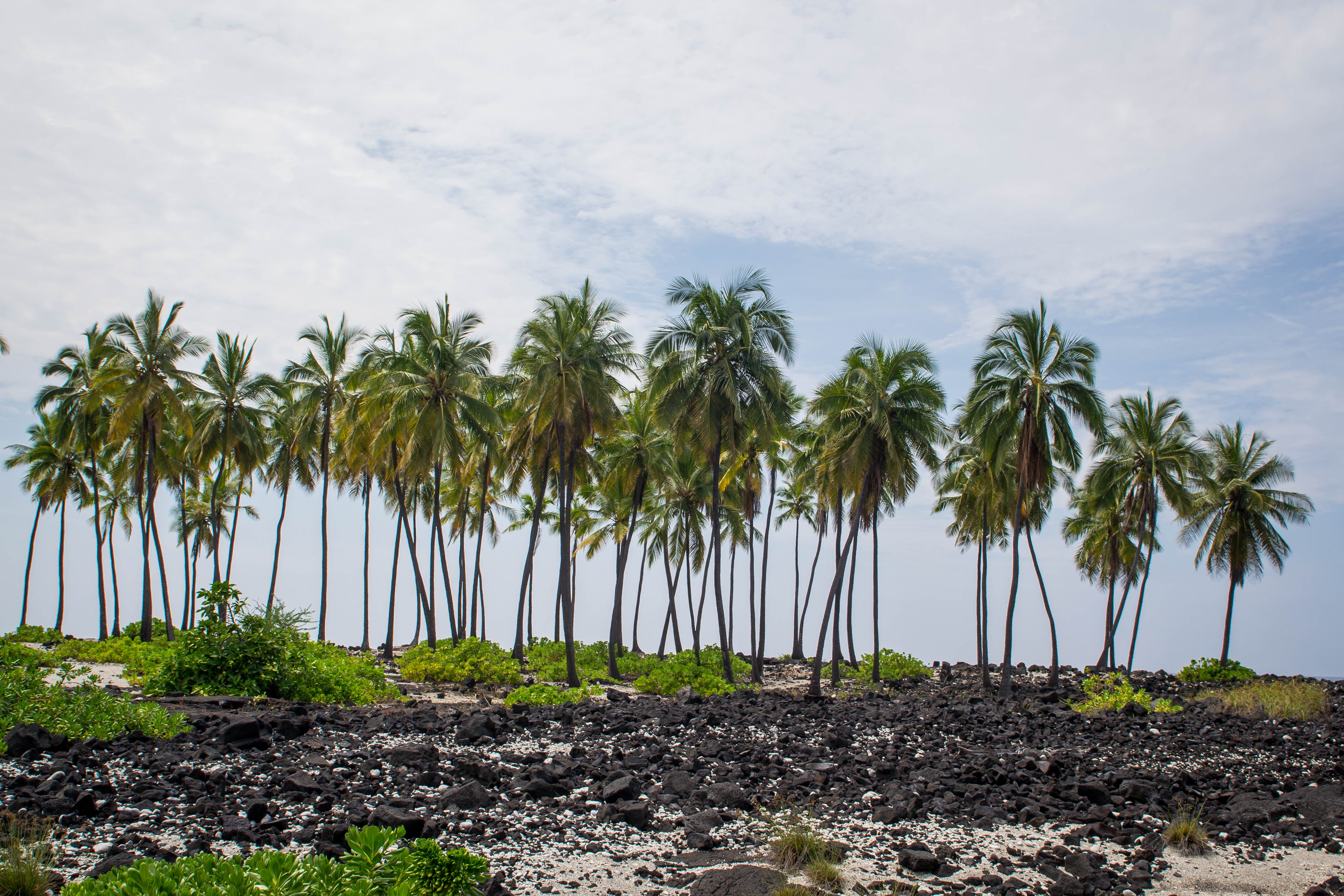 USA - Hawaii - The Big Island