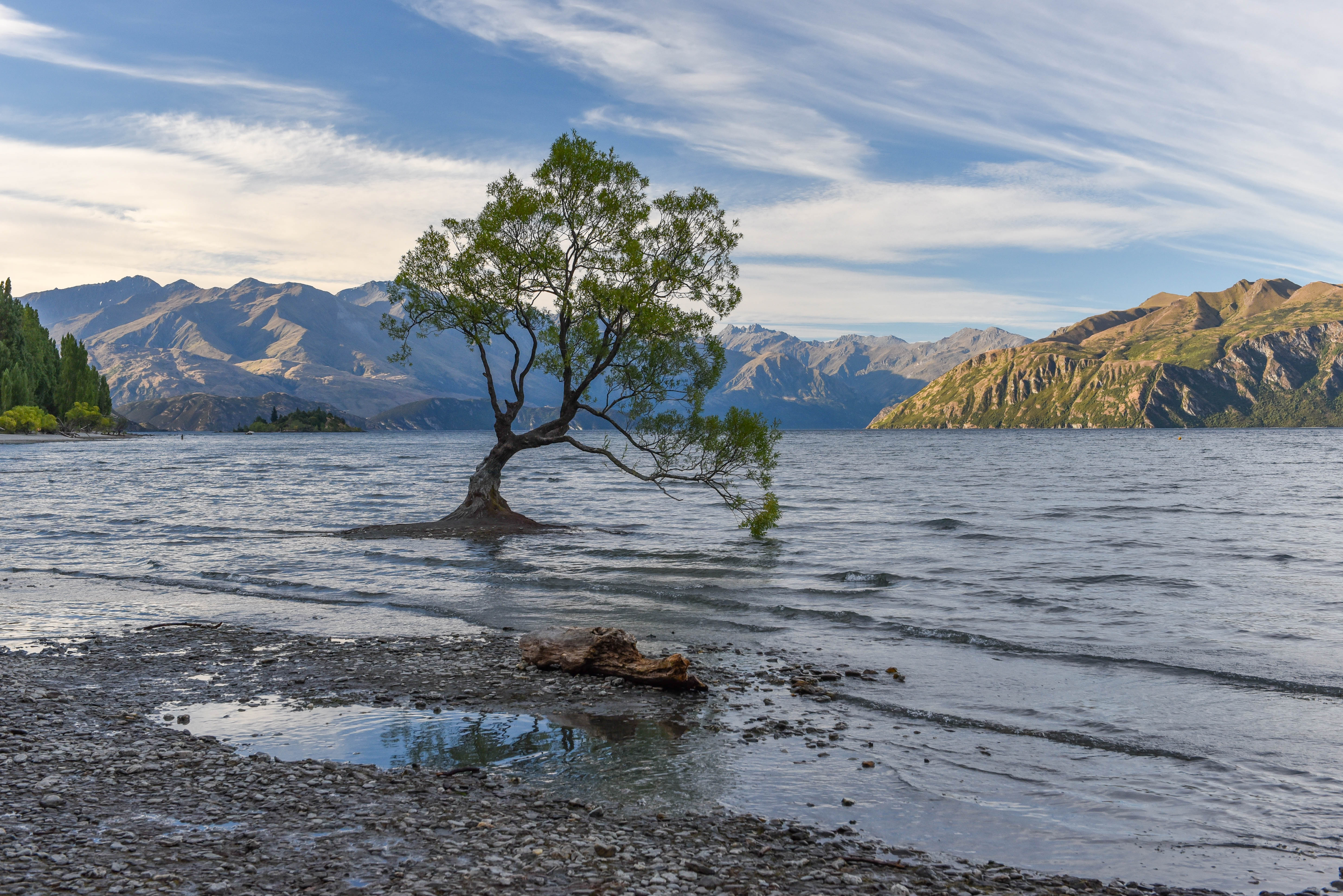 New Zealand - Wanaka