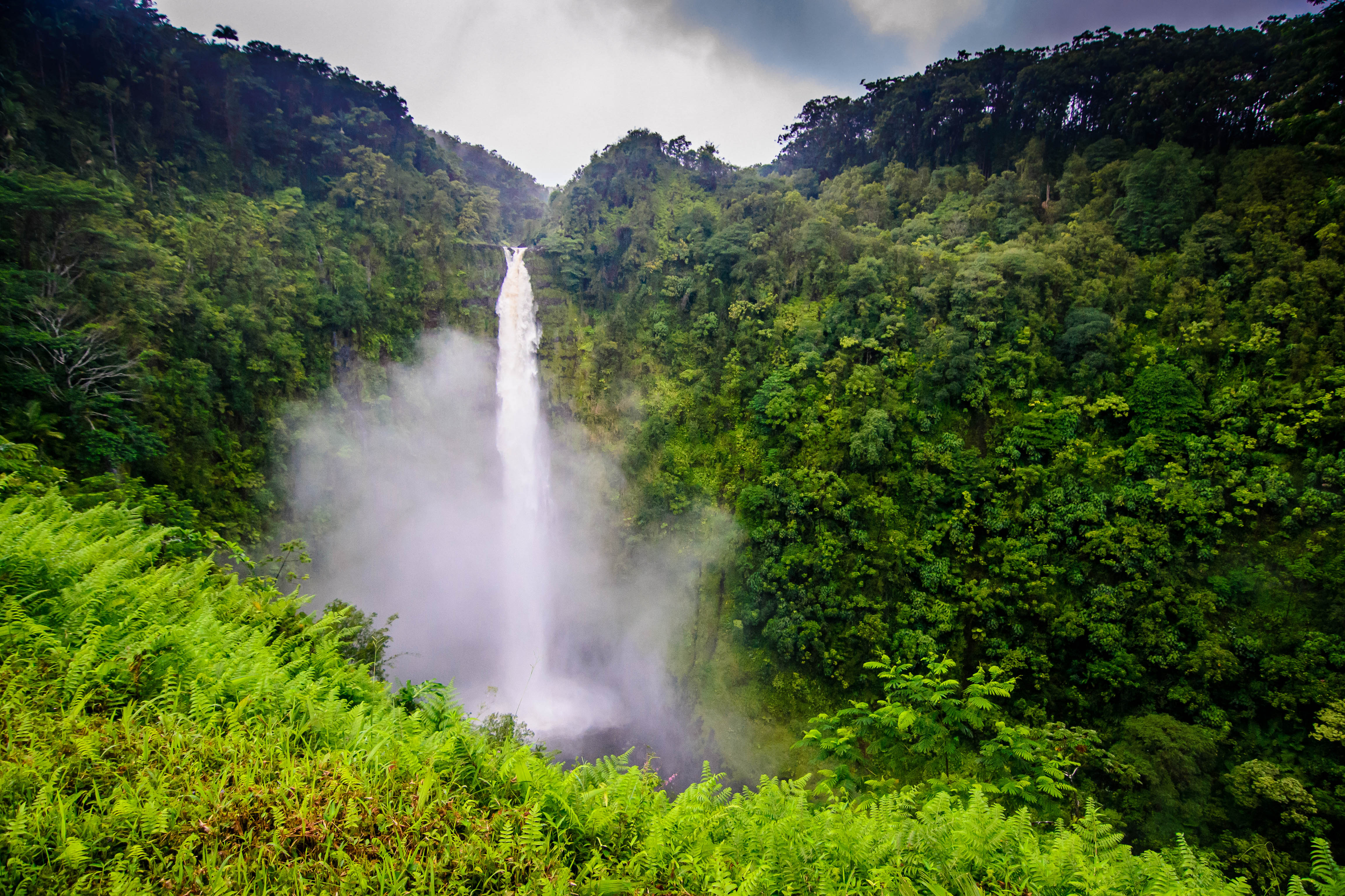 USA - Hawaii - The Big Island - Akaka Falls