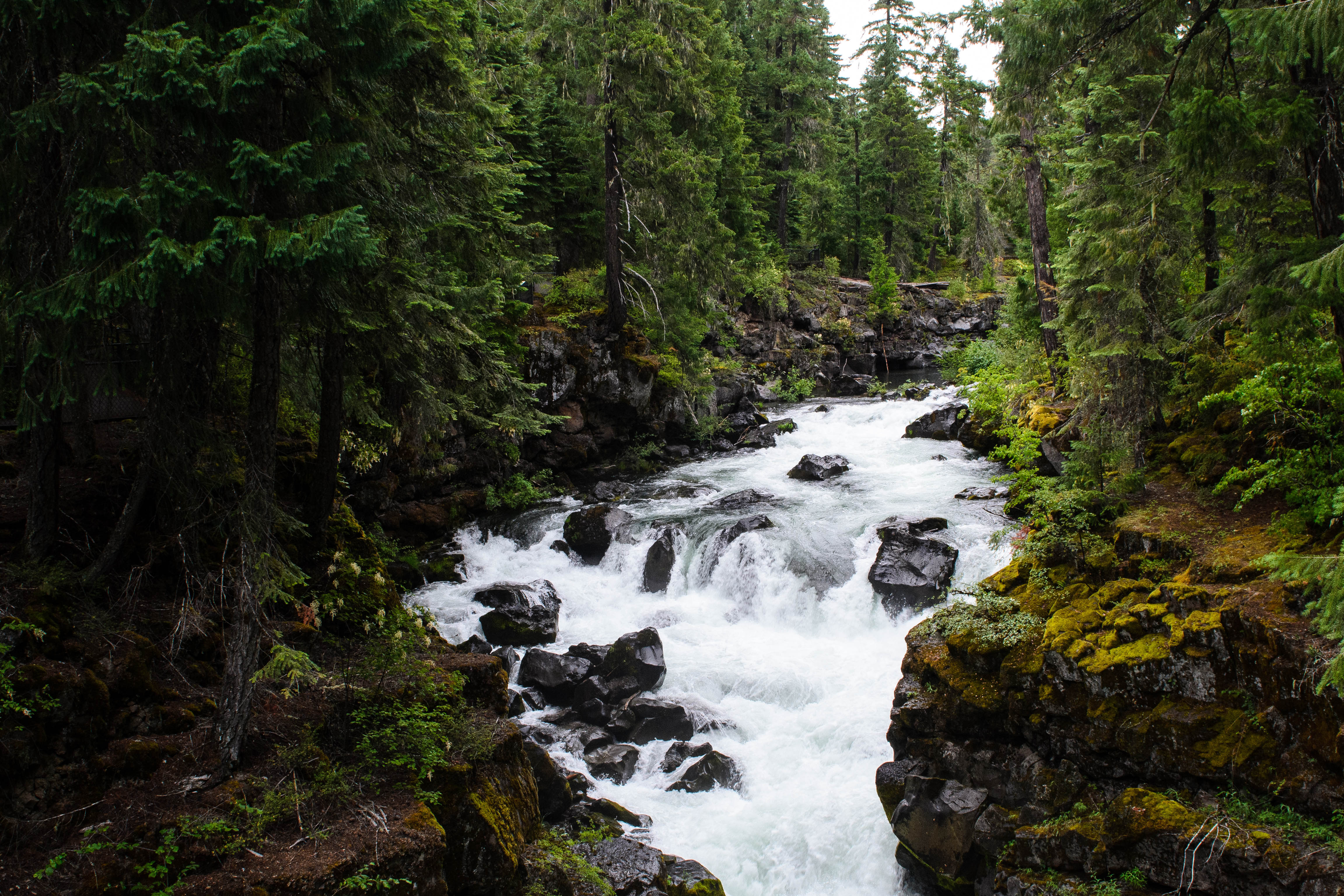 USA - Oregon - Crater Lake Region