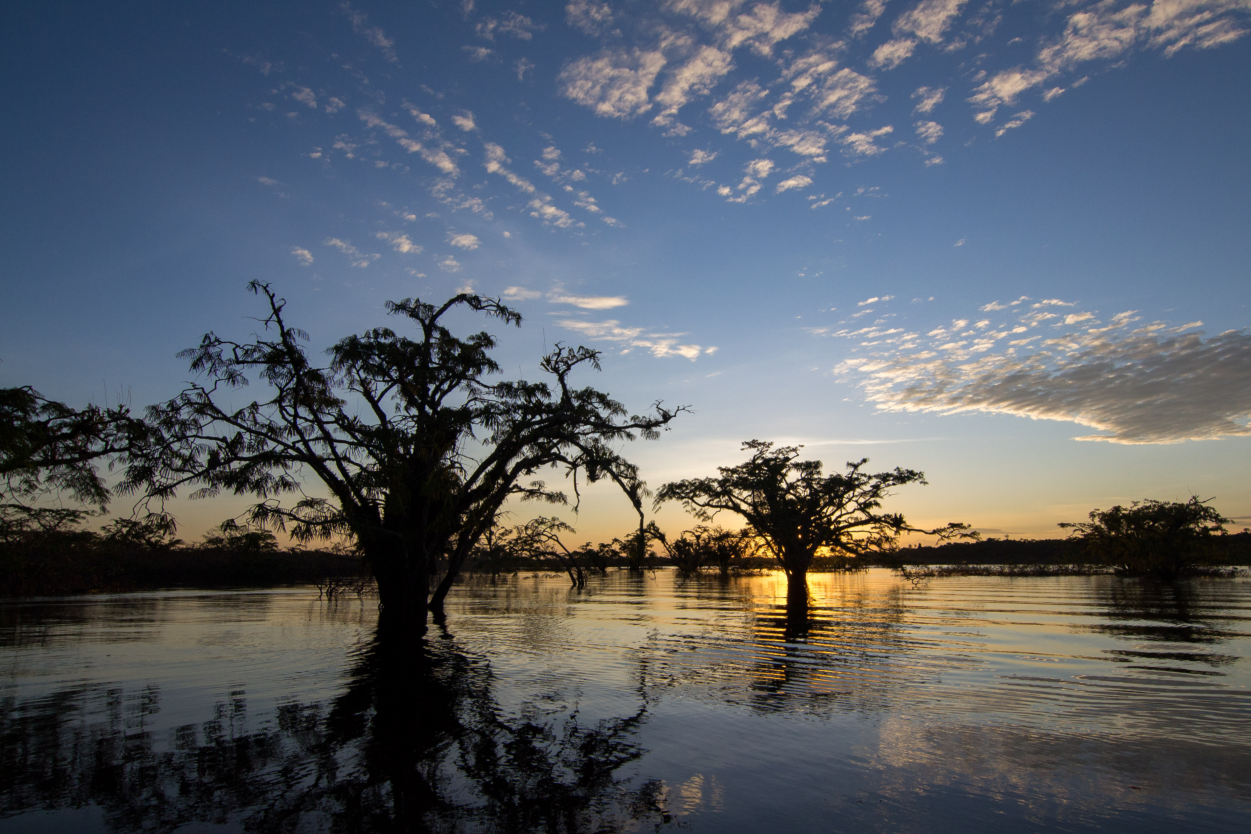Ecuador - Amazon Rainforest Sunset