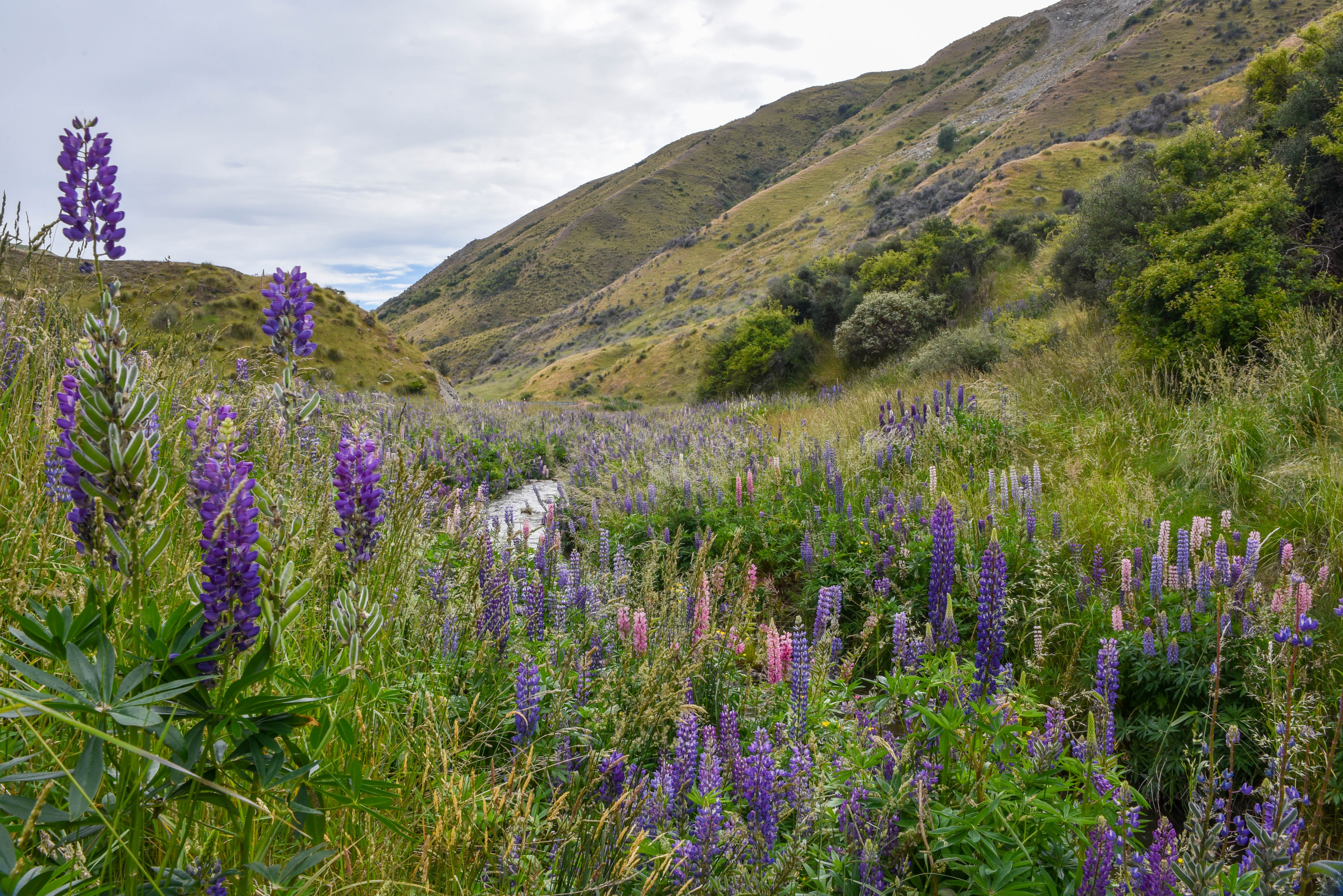 New Zealand - Crown Range Road