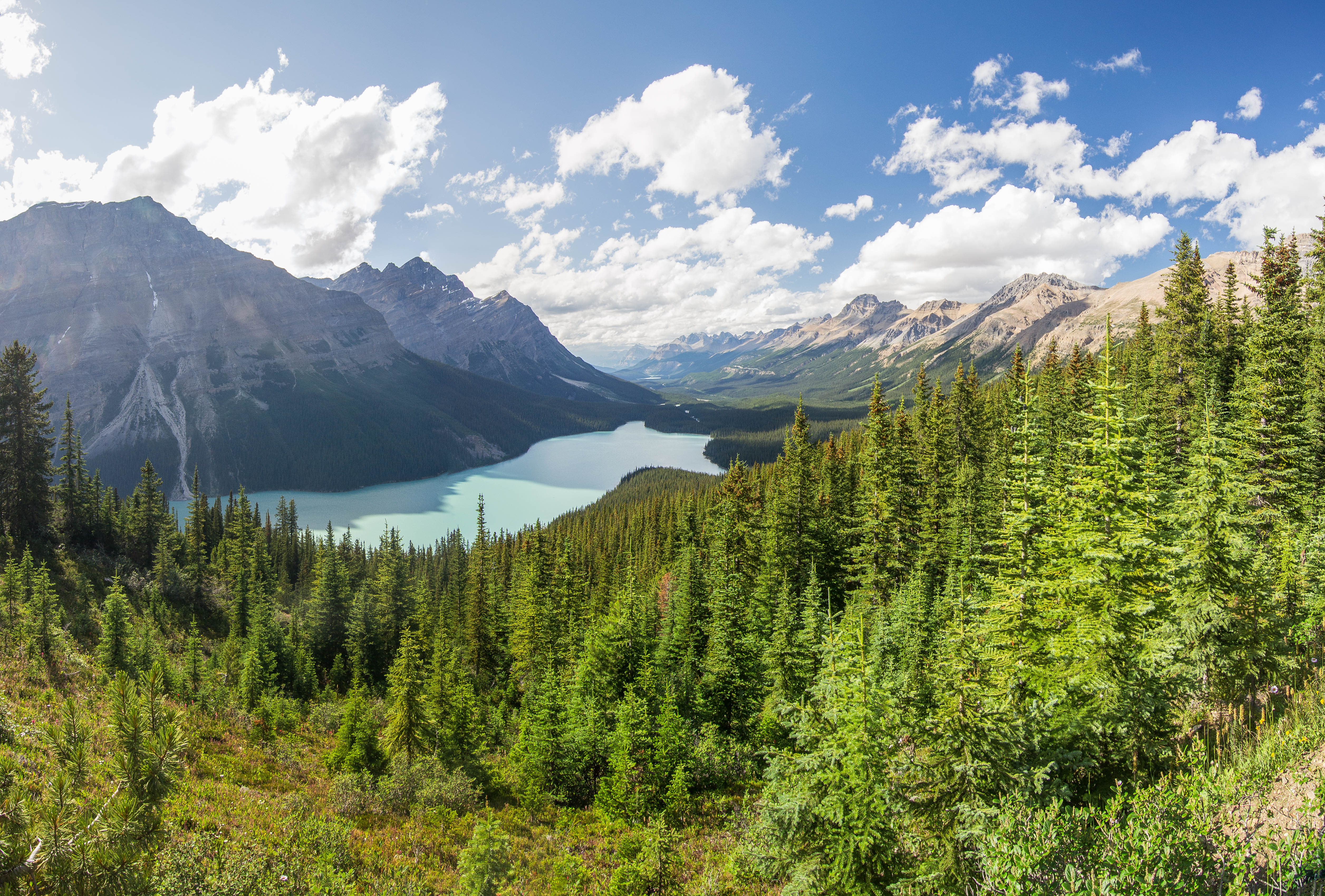 Canada - Peyto Lake