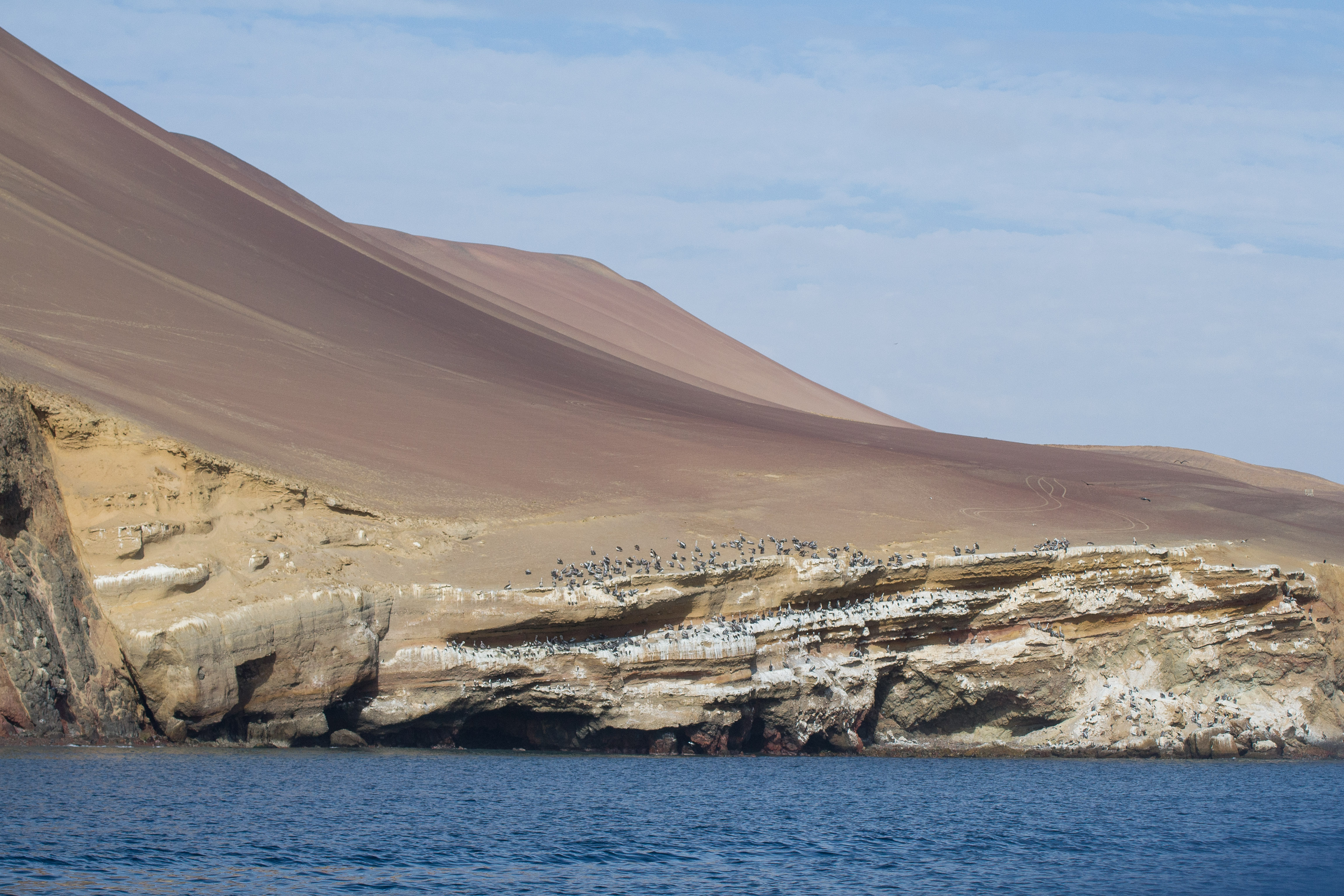 Peru - Islas Bellestas