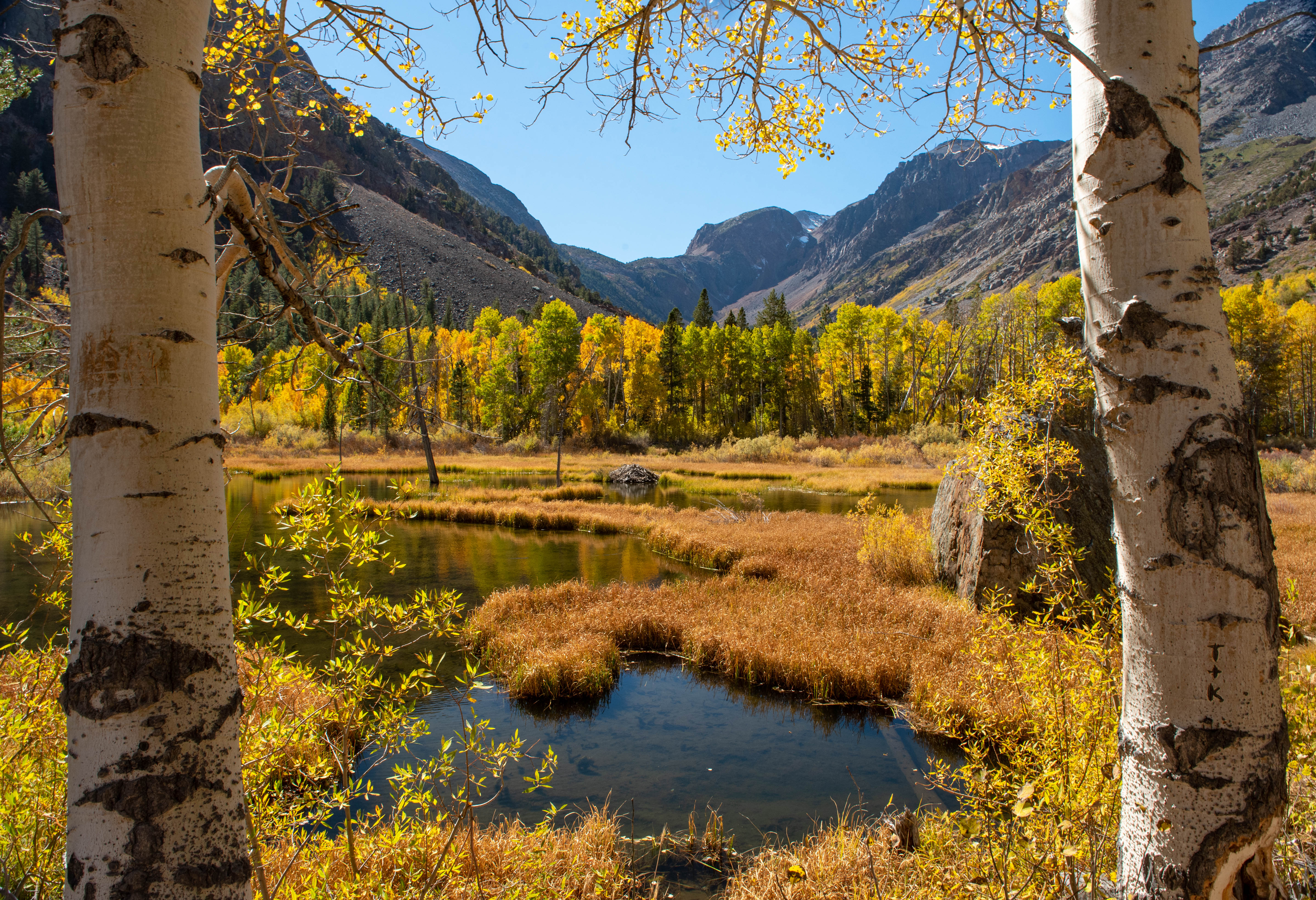 USA - California - Eastern Sierras Fall 5