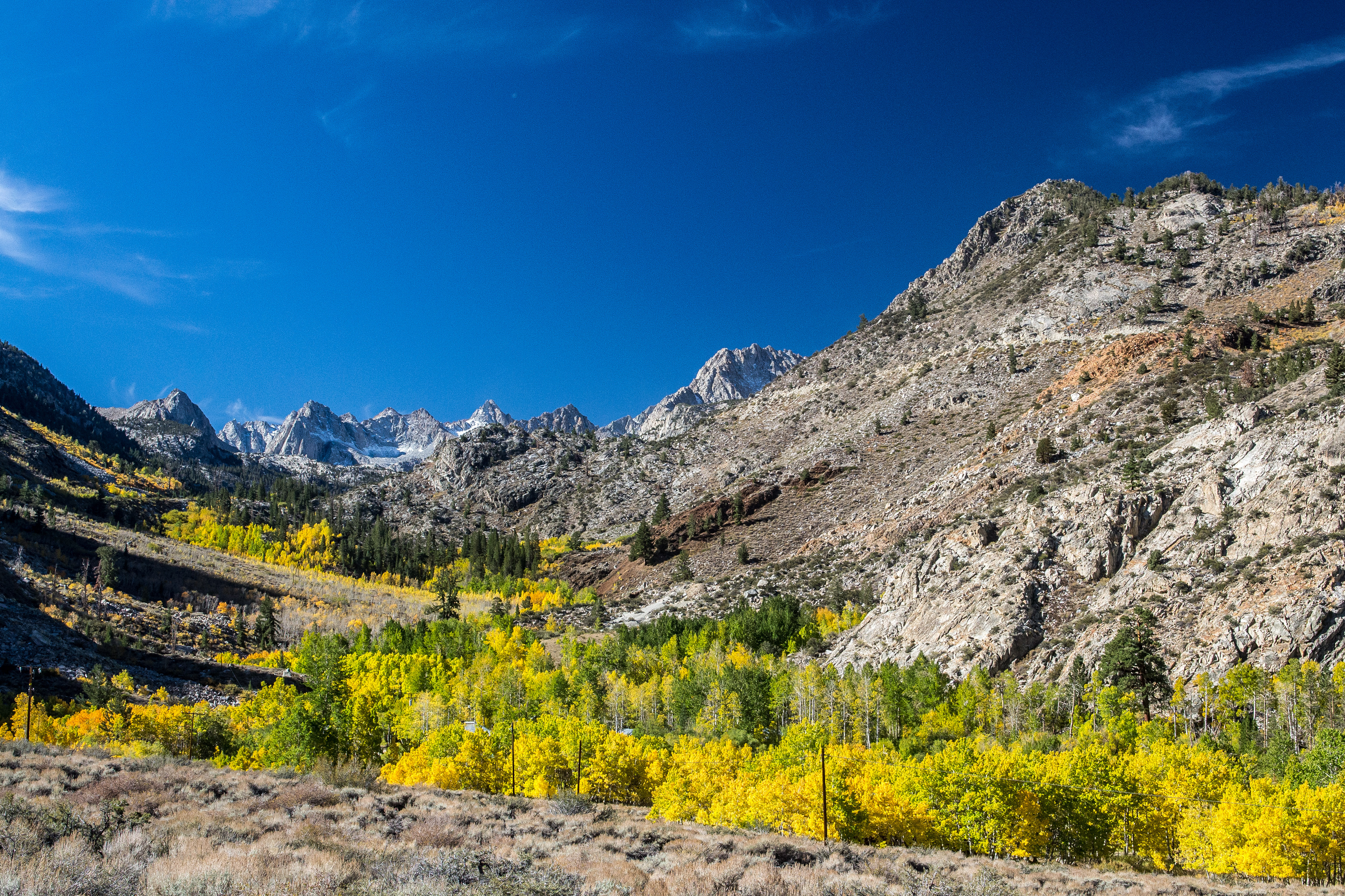 USA - California - Eastern Sierras Fall