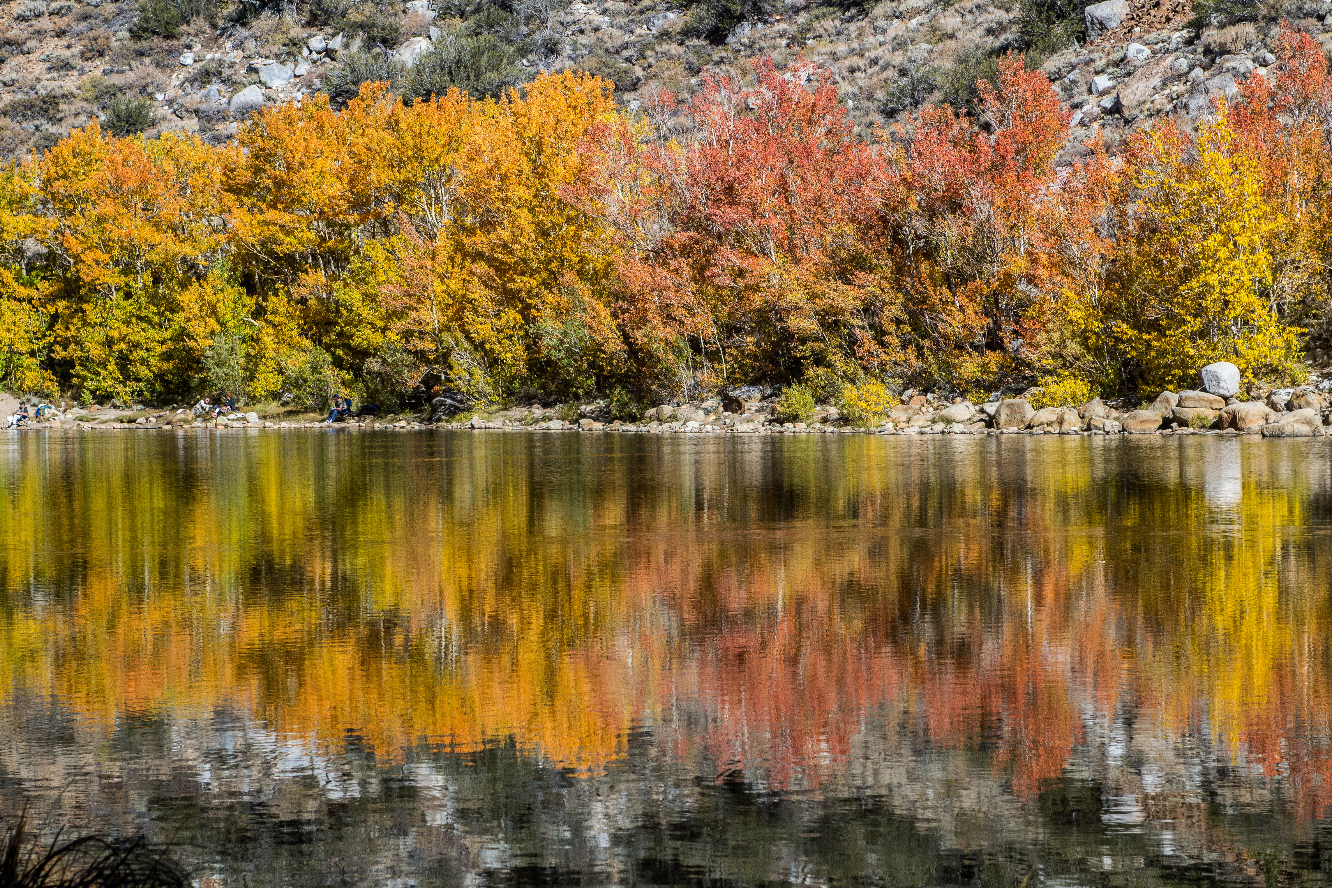 USA - California - Eastern Sierras North Lake Fall