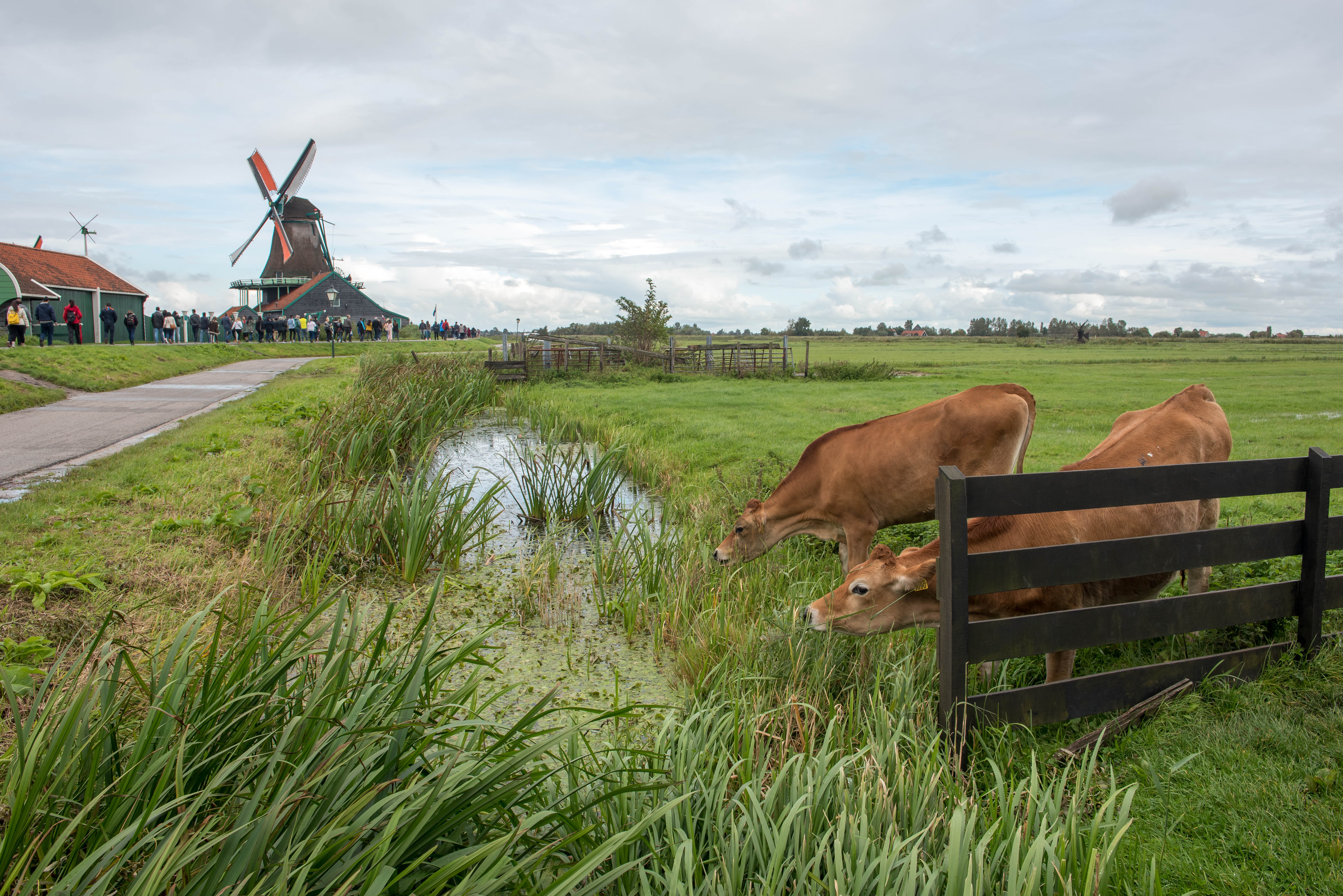 Netherlands - Zaanse Schans
