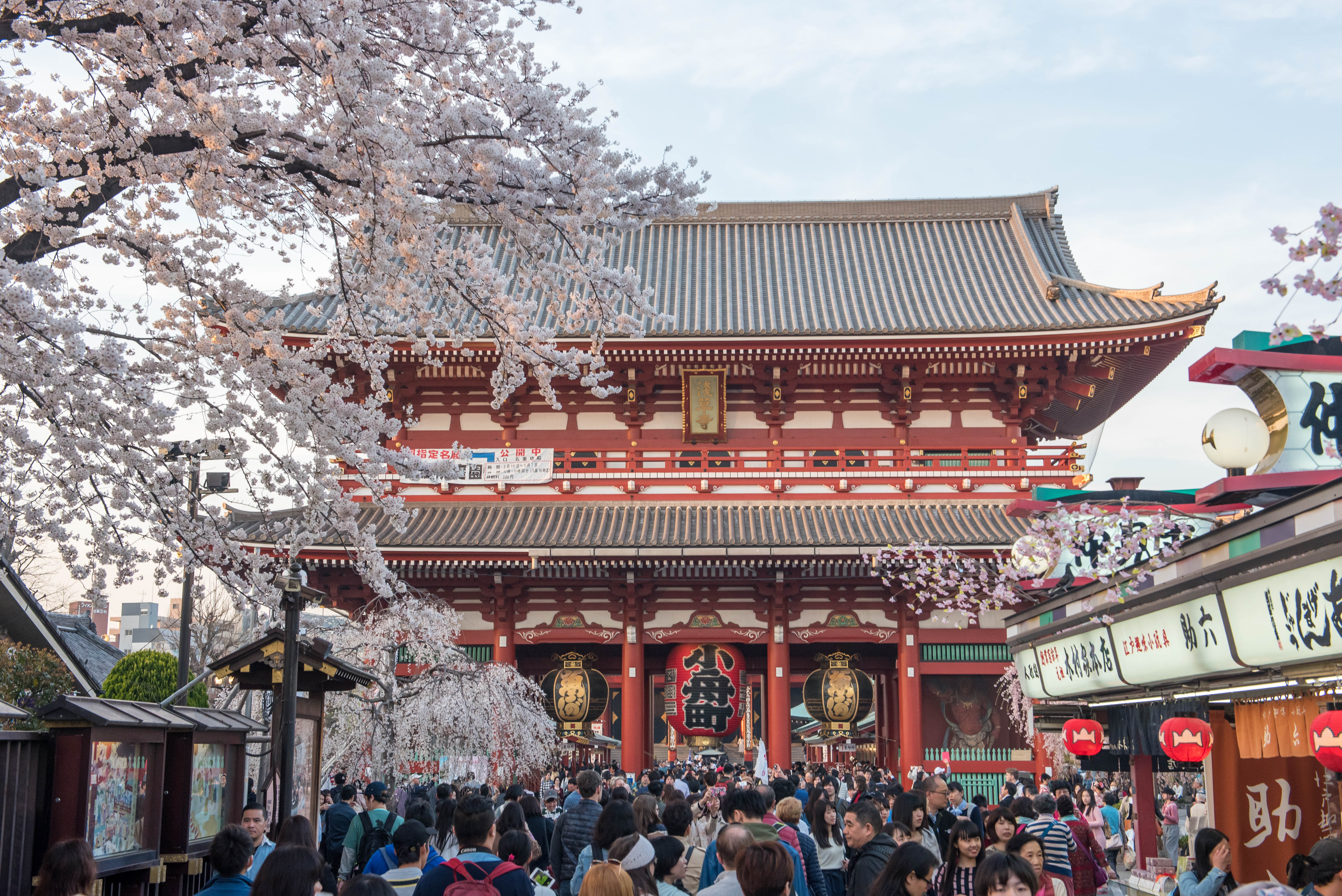Japan - Tokyo - Asakusa