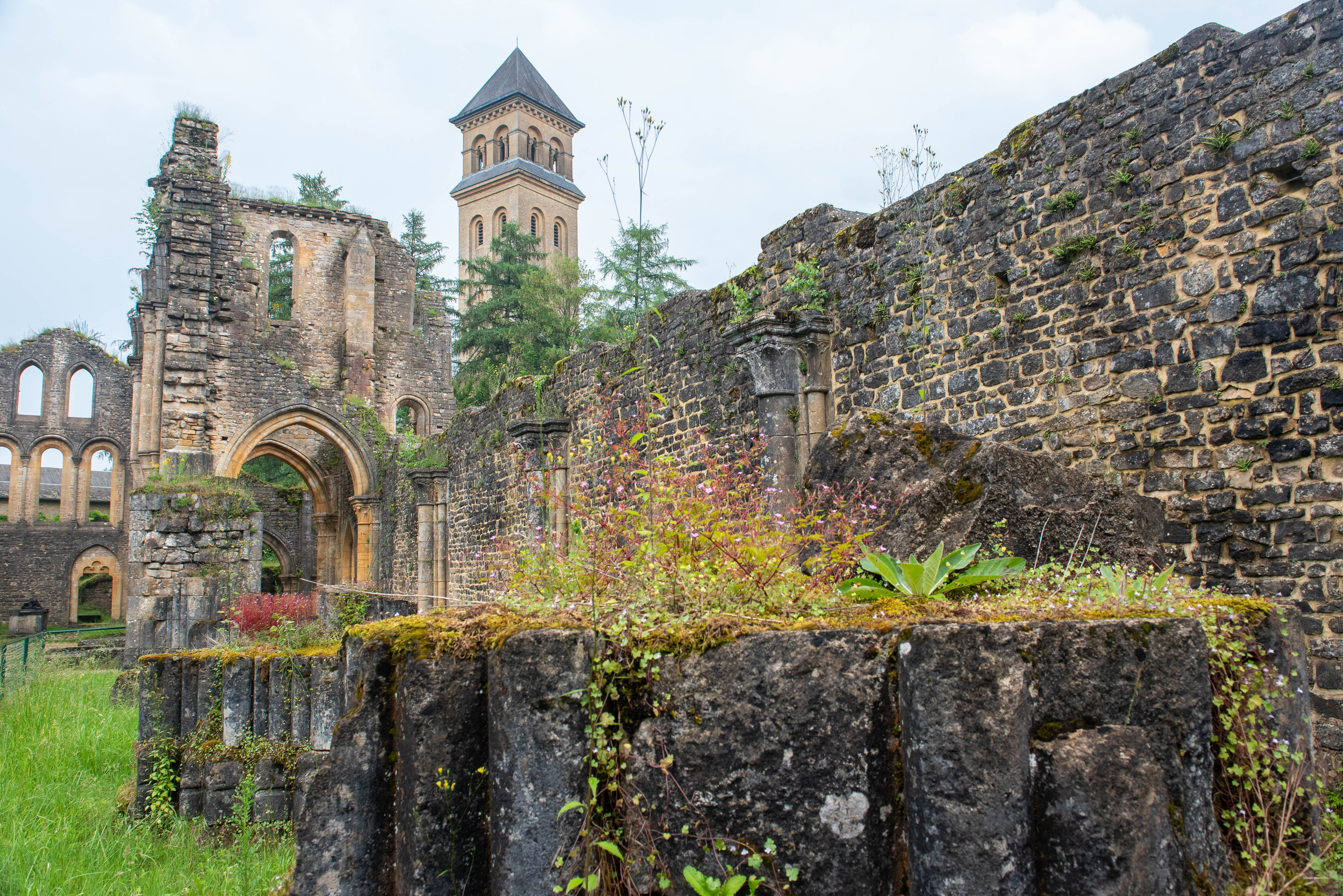 Belgium - Orval Abbey