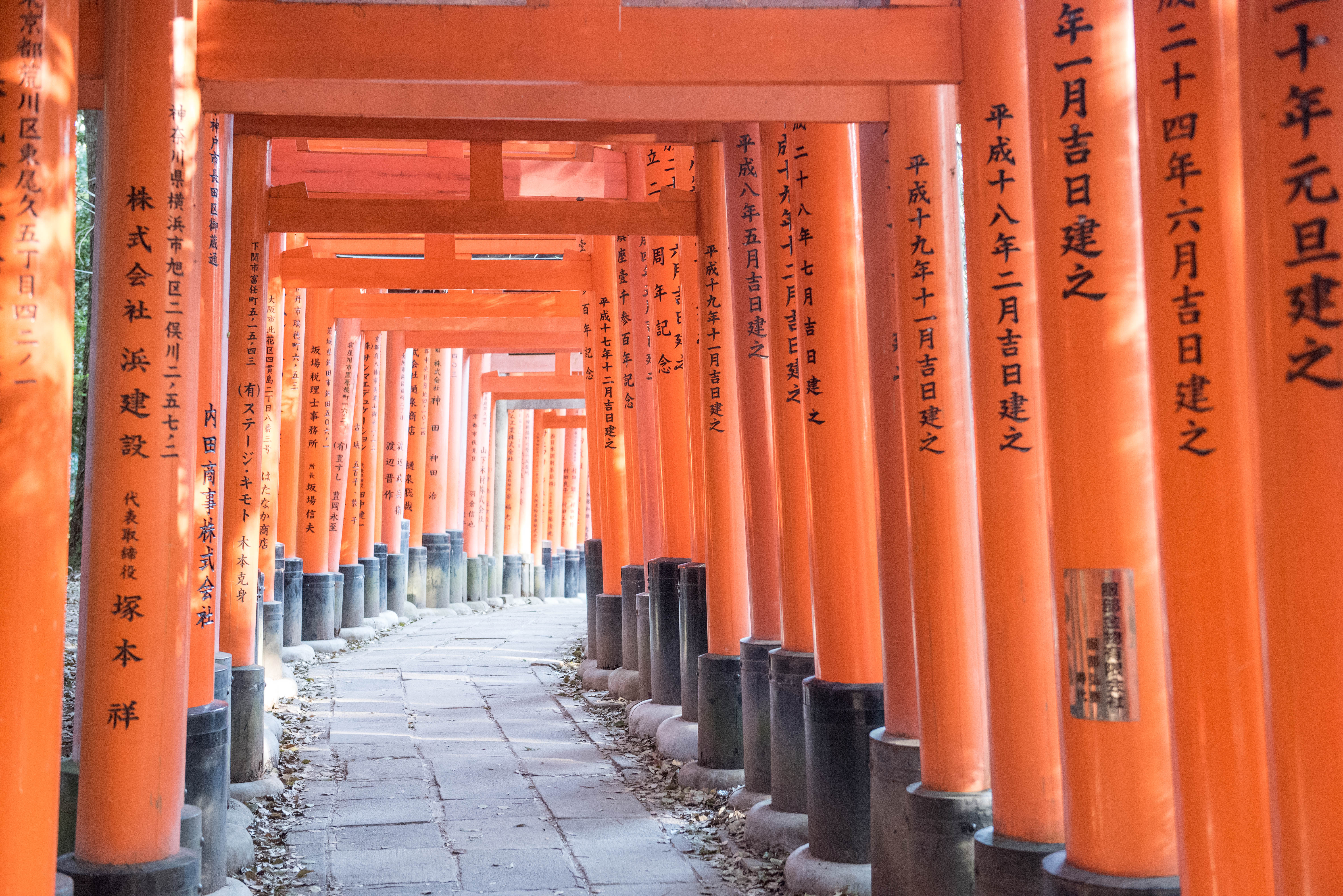 Japan - Kyoto - Fushimi Inari Shrine