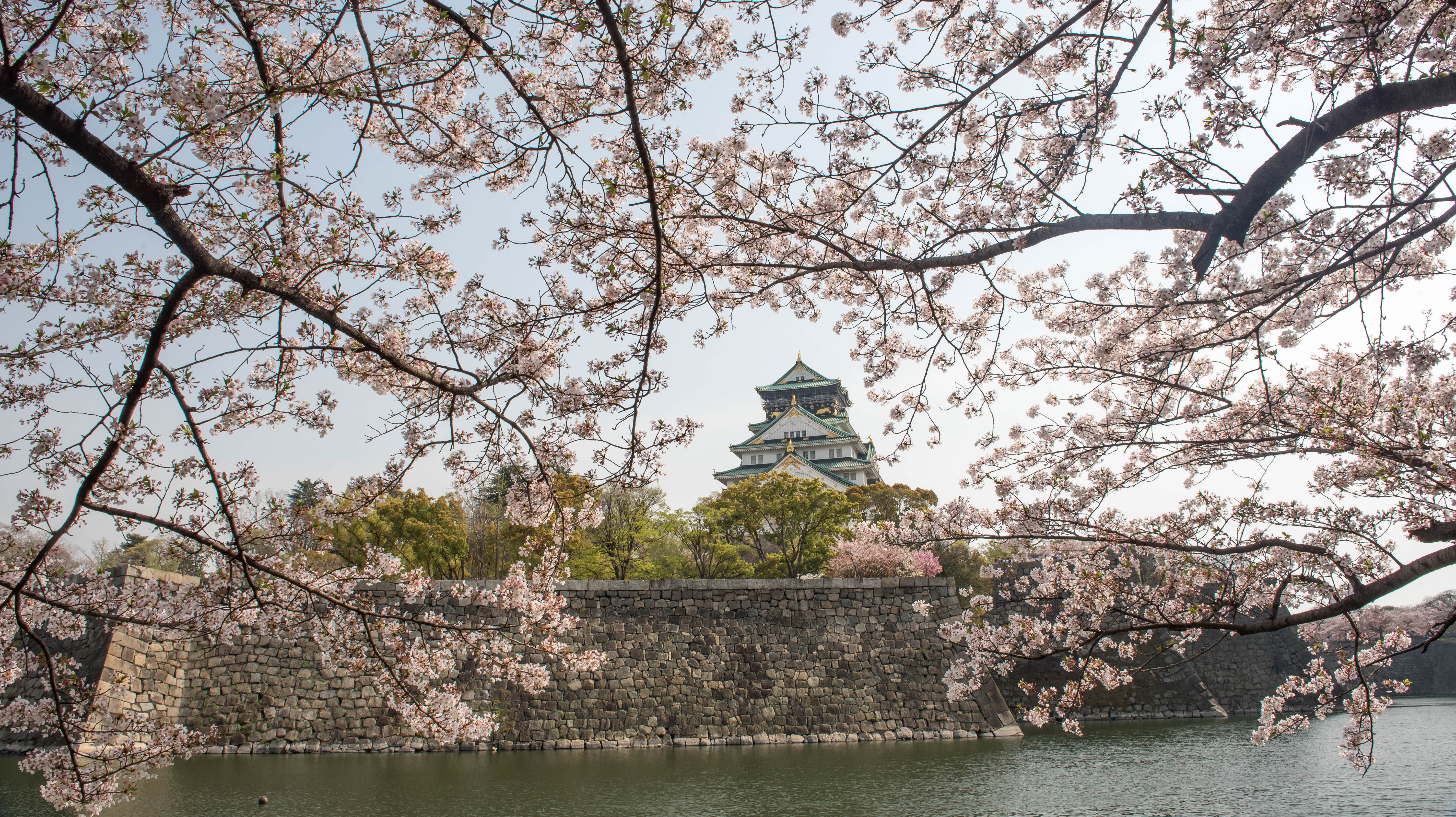 Japan - Osaka Castle