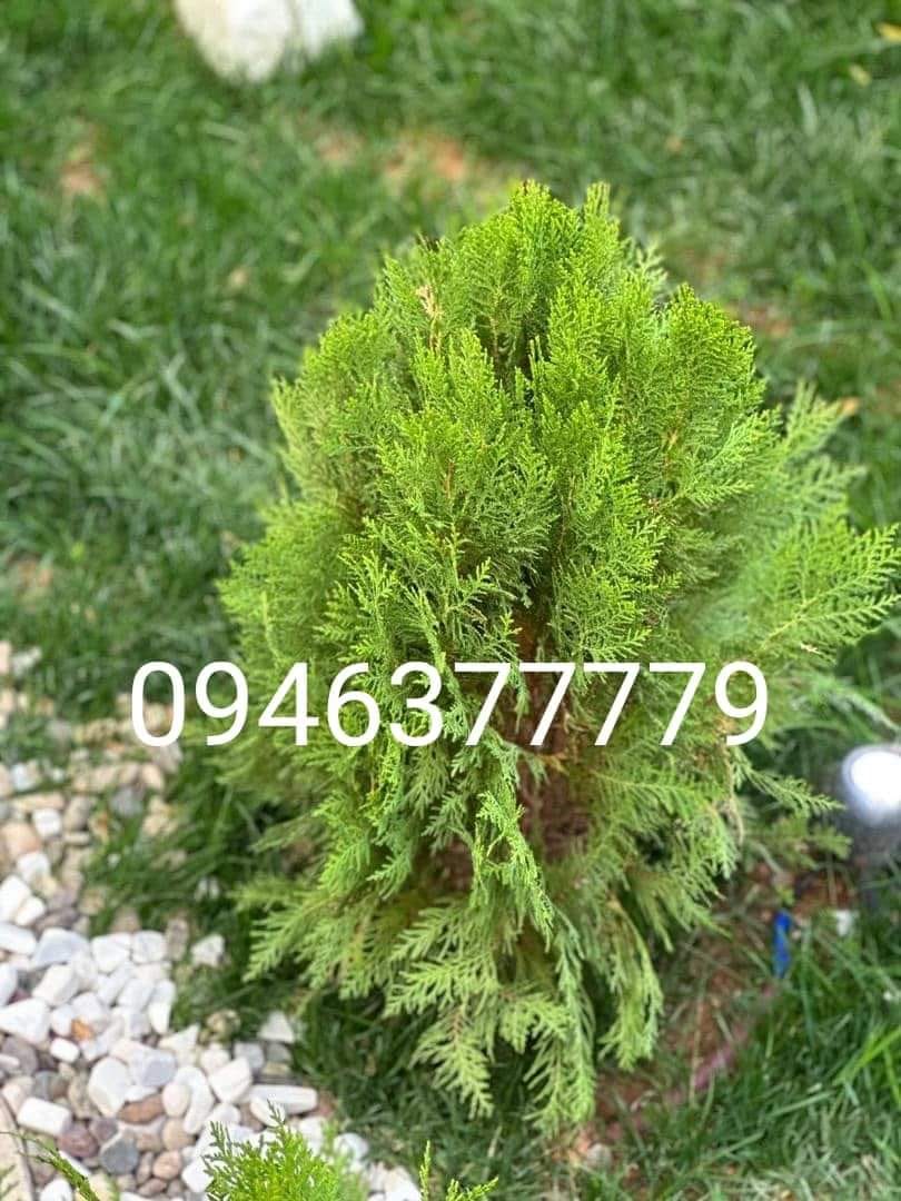 شقة سكنية للـبيع في ضاحية قدسيا