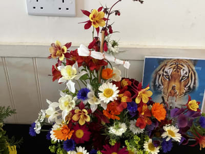 Competition entries.