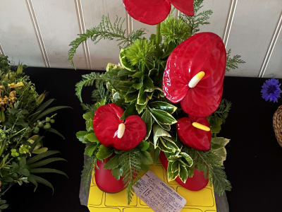 Competition entries.