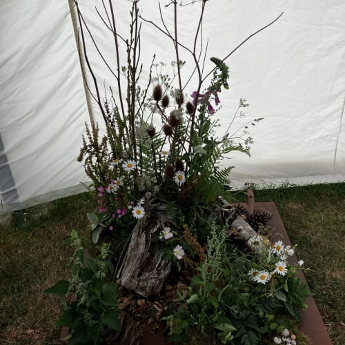 Suffolk Show.