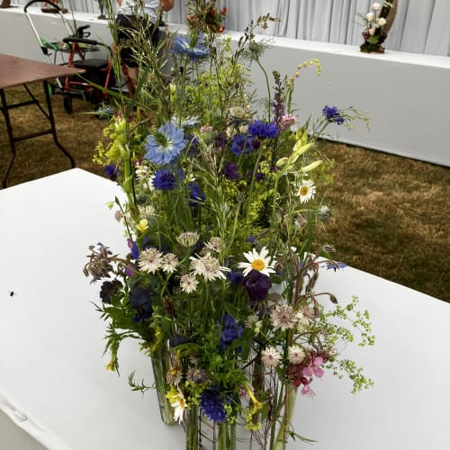 Suffolk Show.