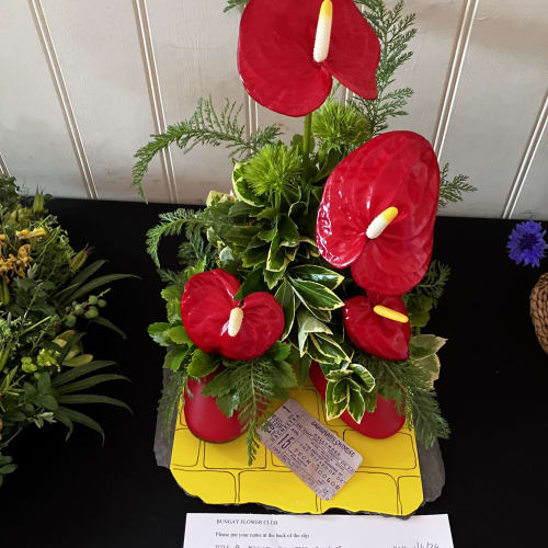 Competition entries.