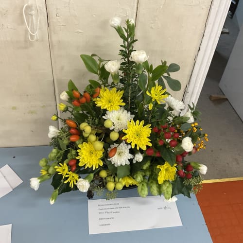 Competition entries.