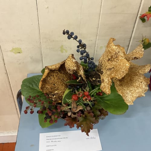 Competition entry.