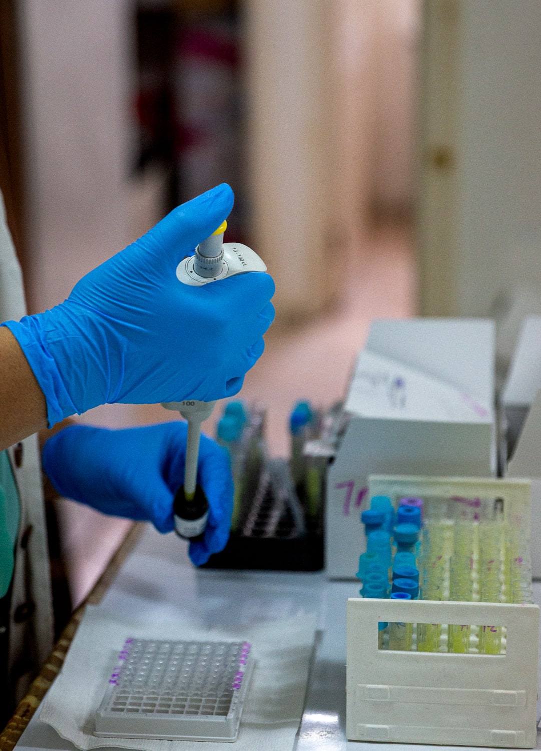 Lab work