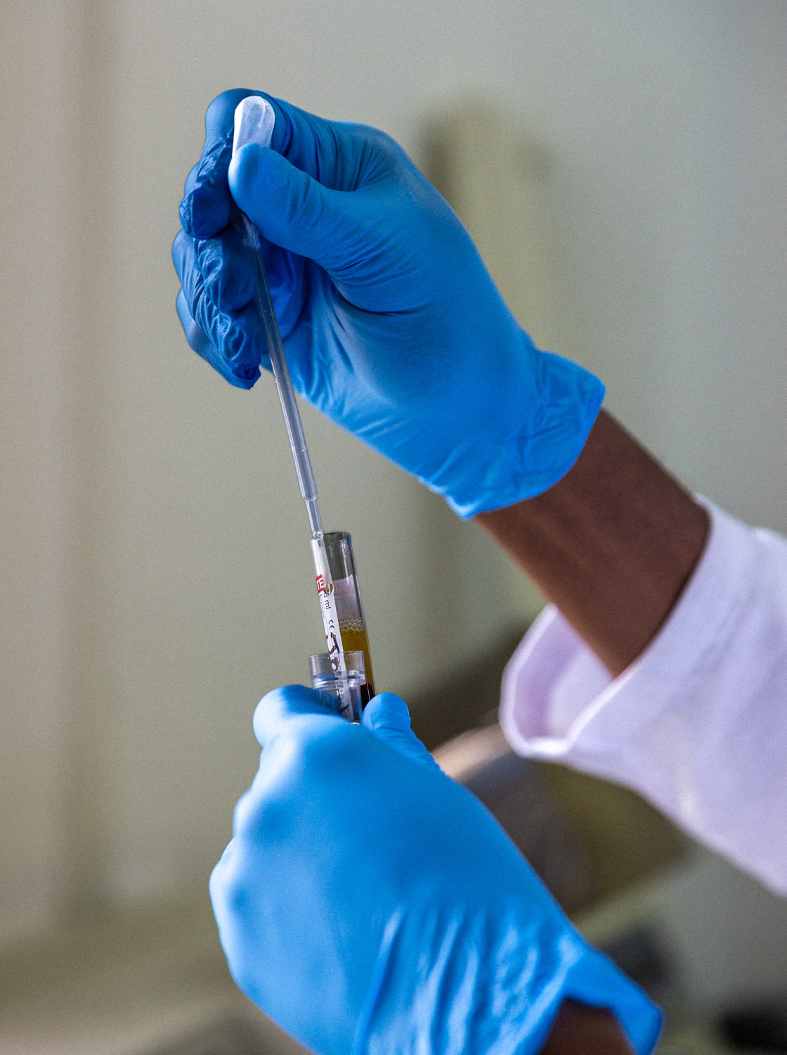 Travel medicine testing