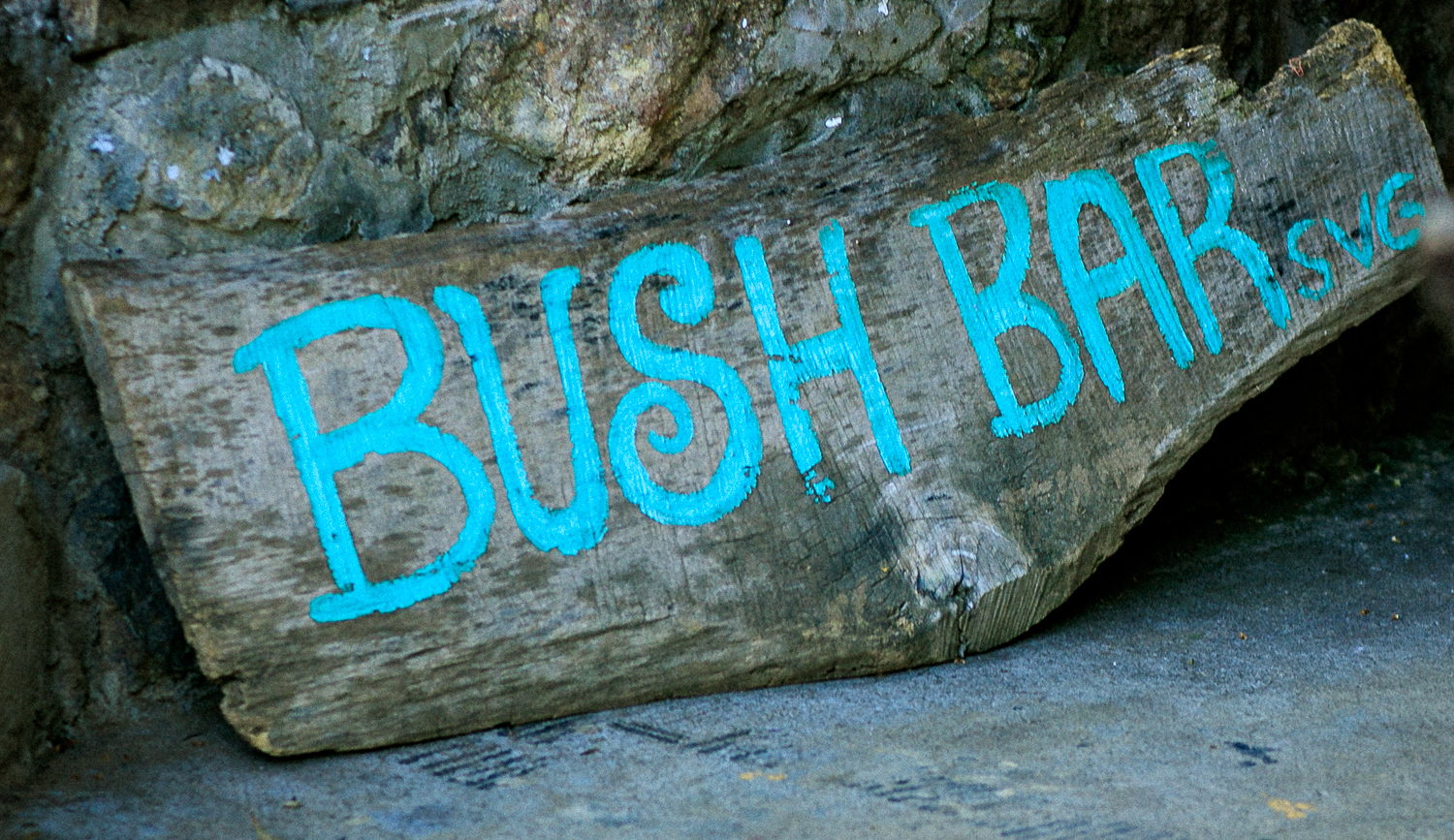 Bush Bar SVG sign — teal