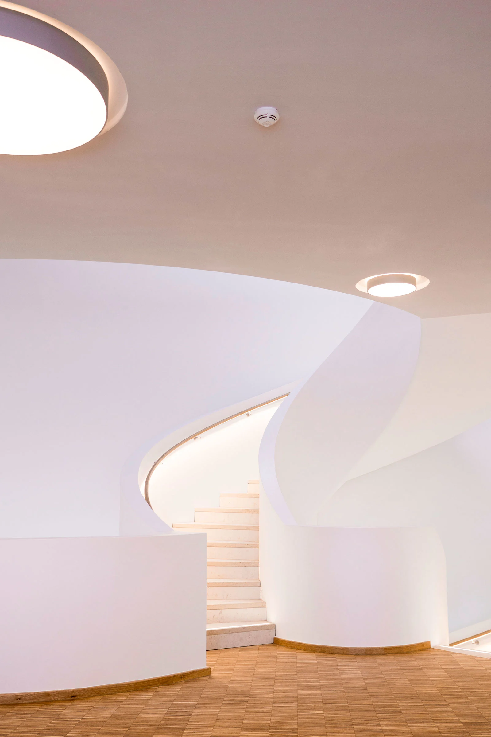 Max Frank GmbH & Co. KG