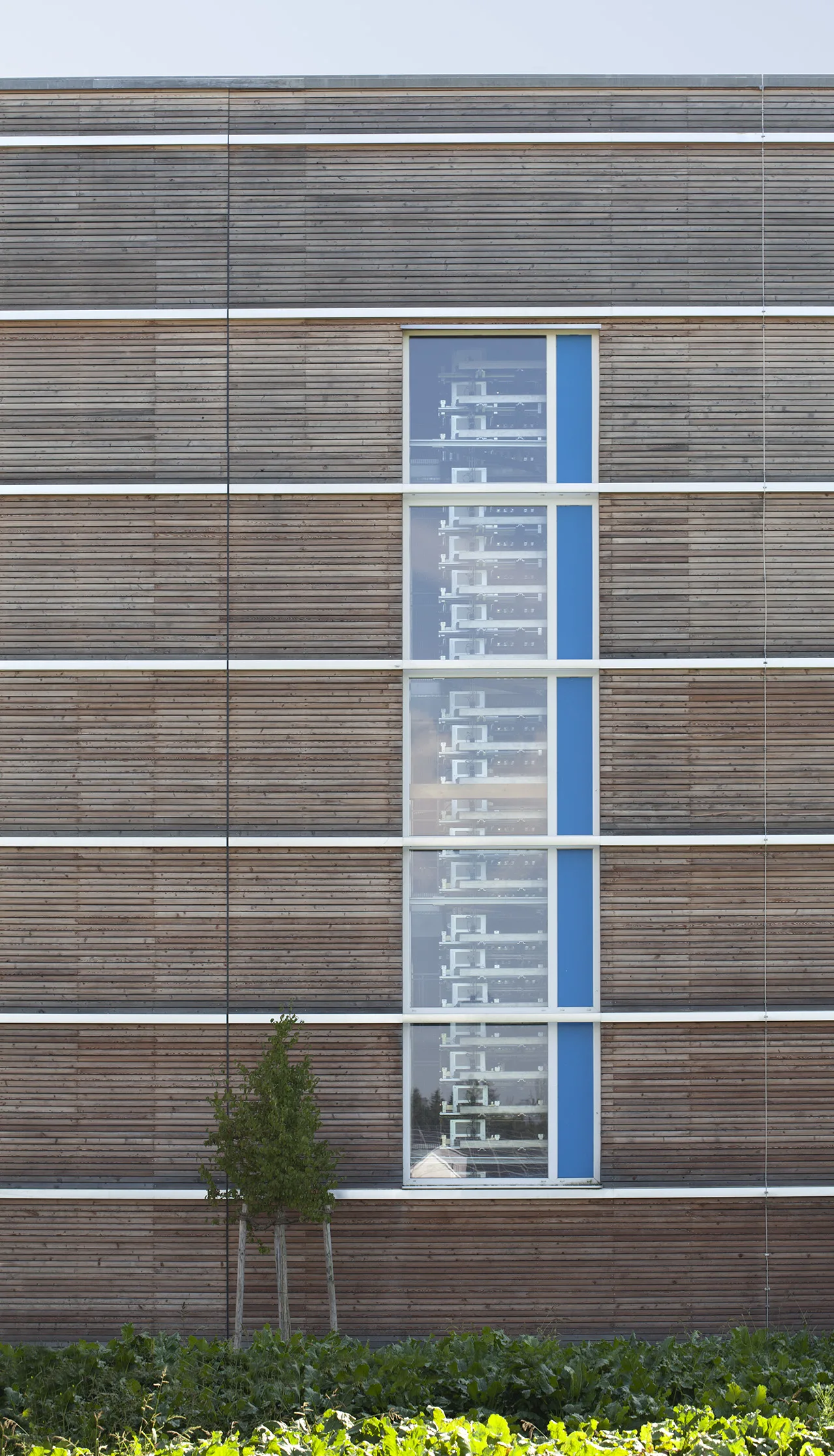 Fassade mit Rhombusschalung