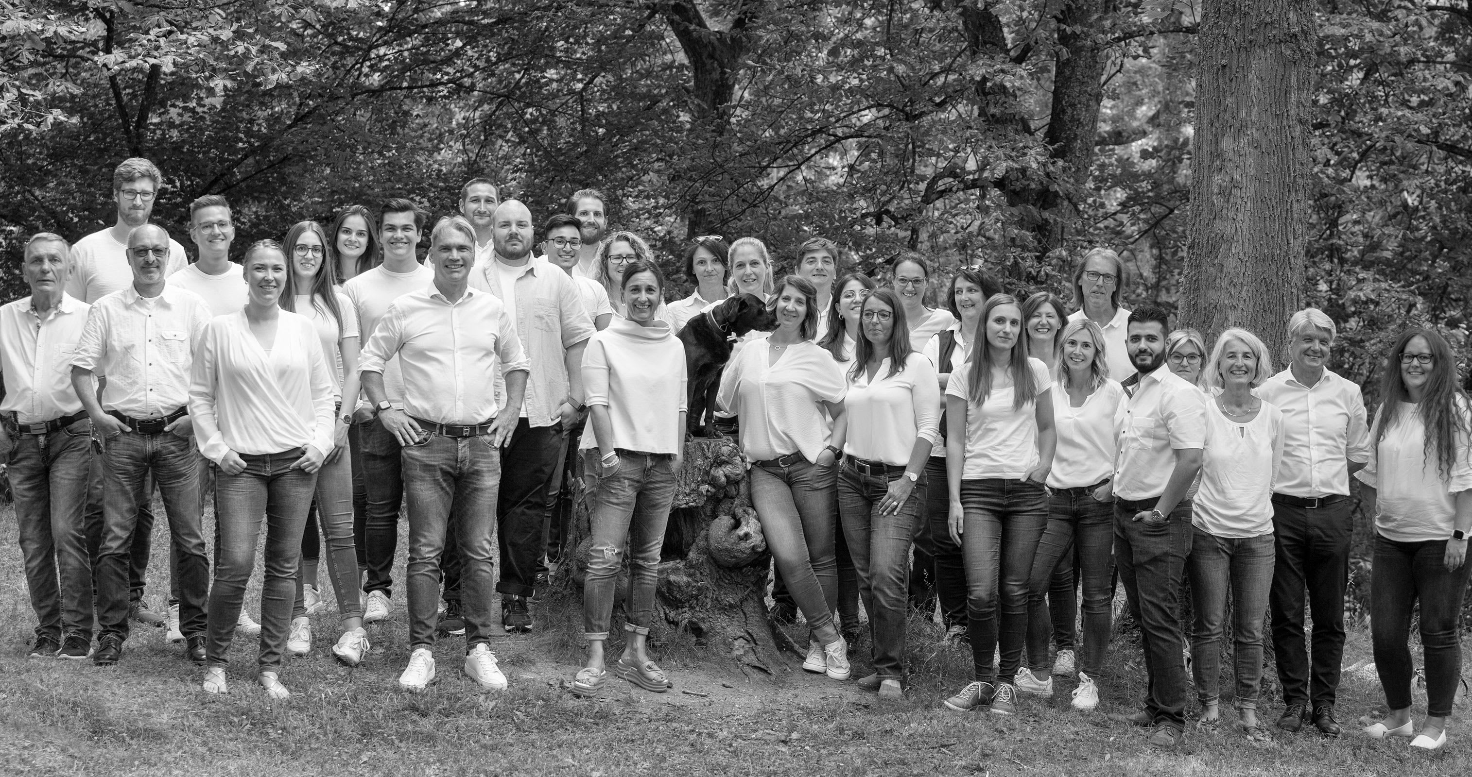 Das Team