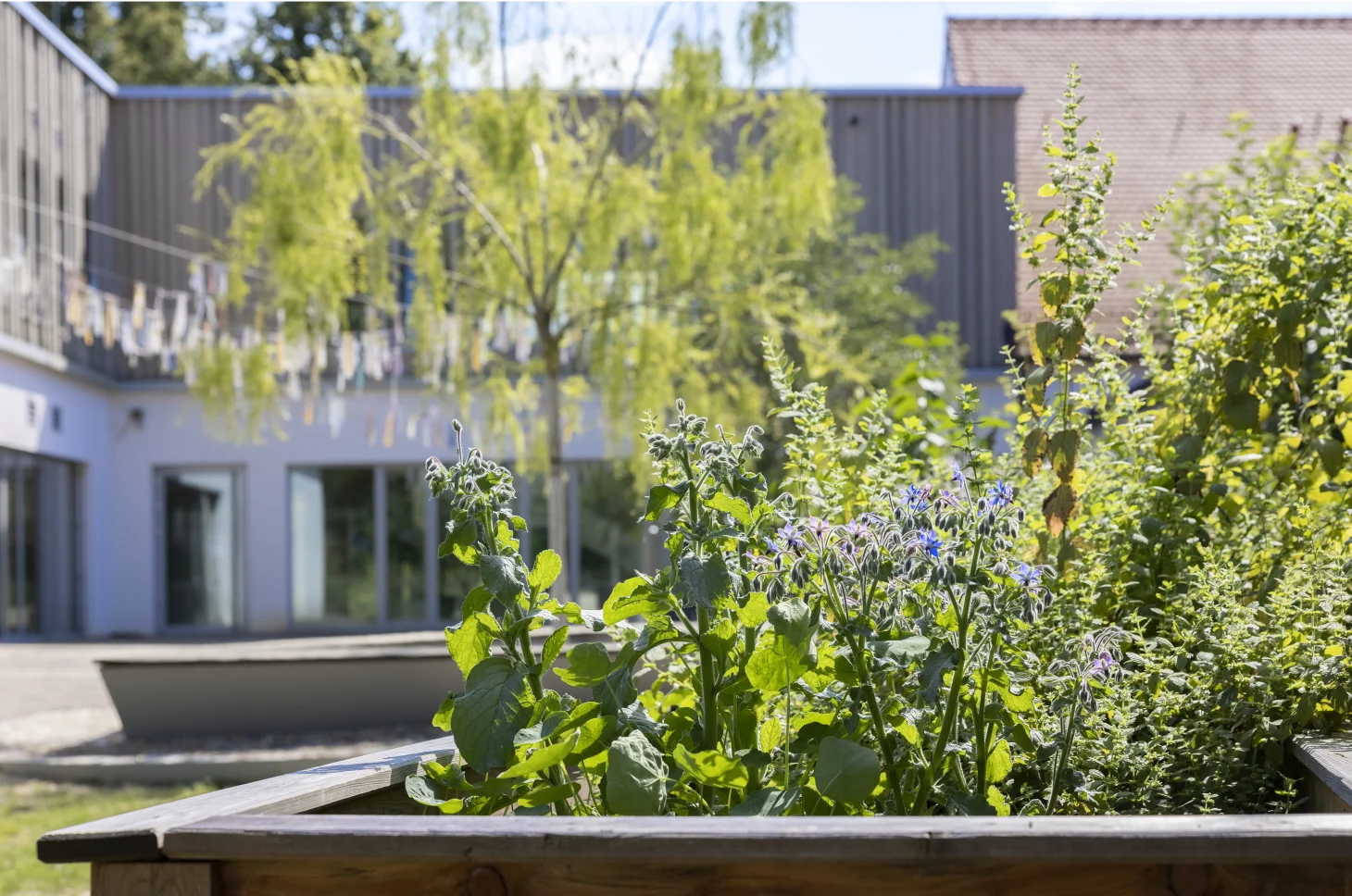 Hochbeete im Pausenhof