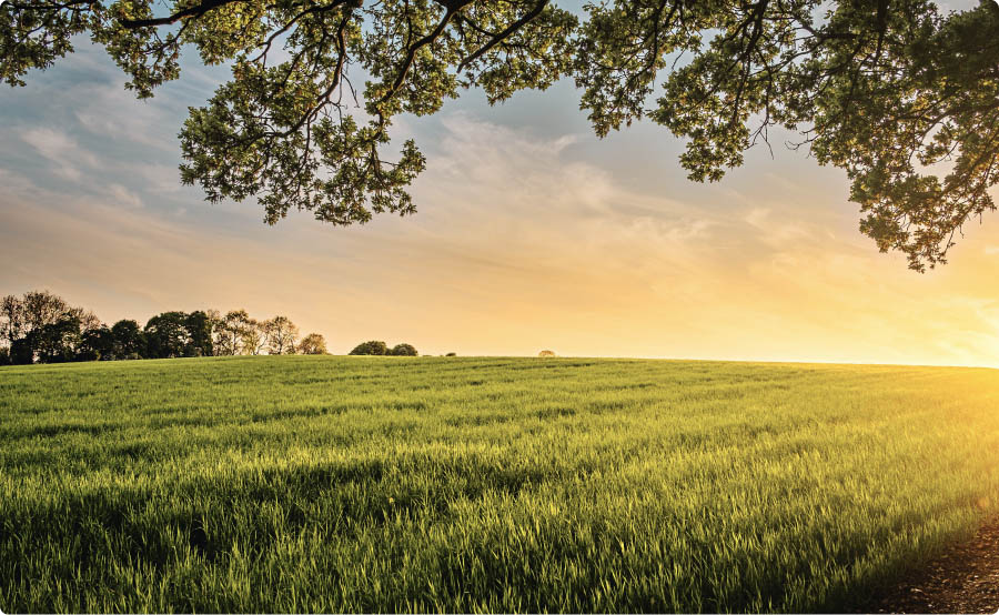 Land for sale in Sedalia, MO