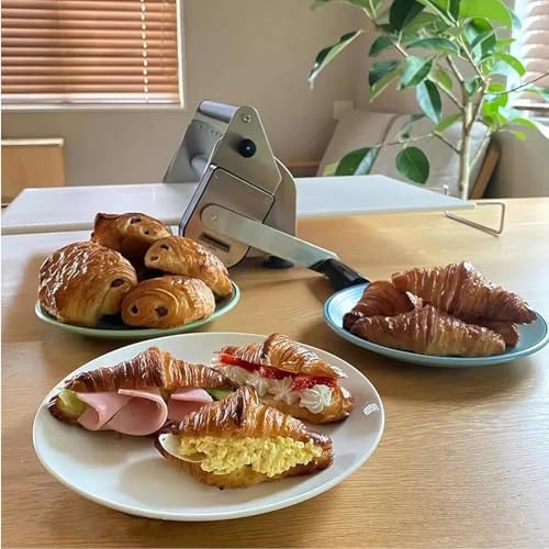 Vue 2 de Machine Pate Manuelle