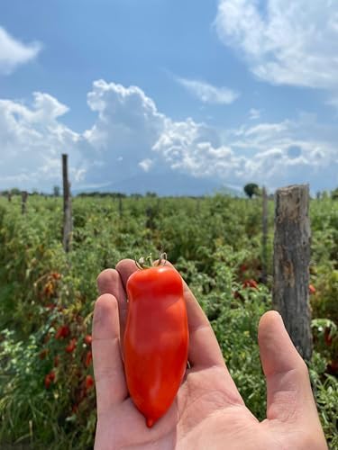 Vue 6 de Delicret Nolano