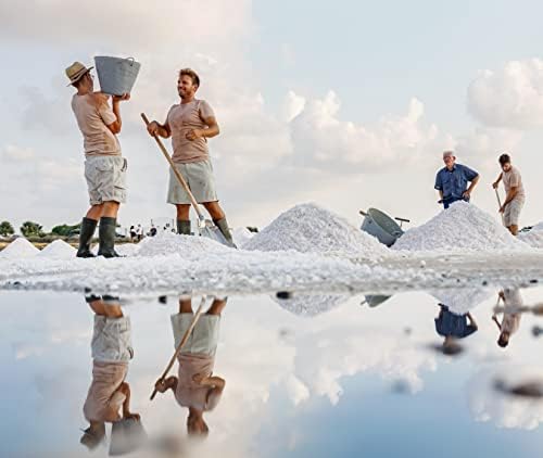 Vue 2 de Sel Marin Integral De