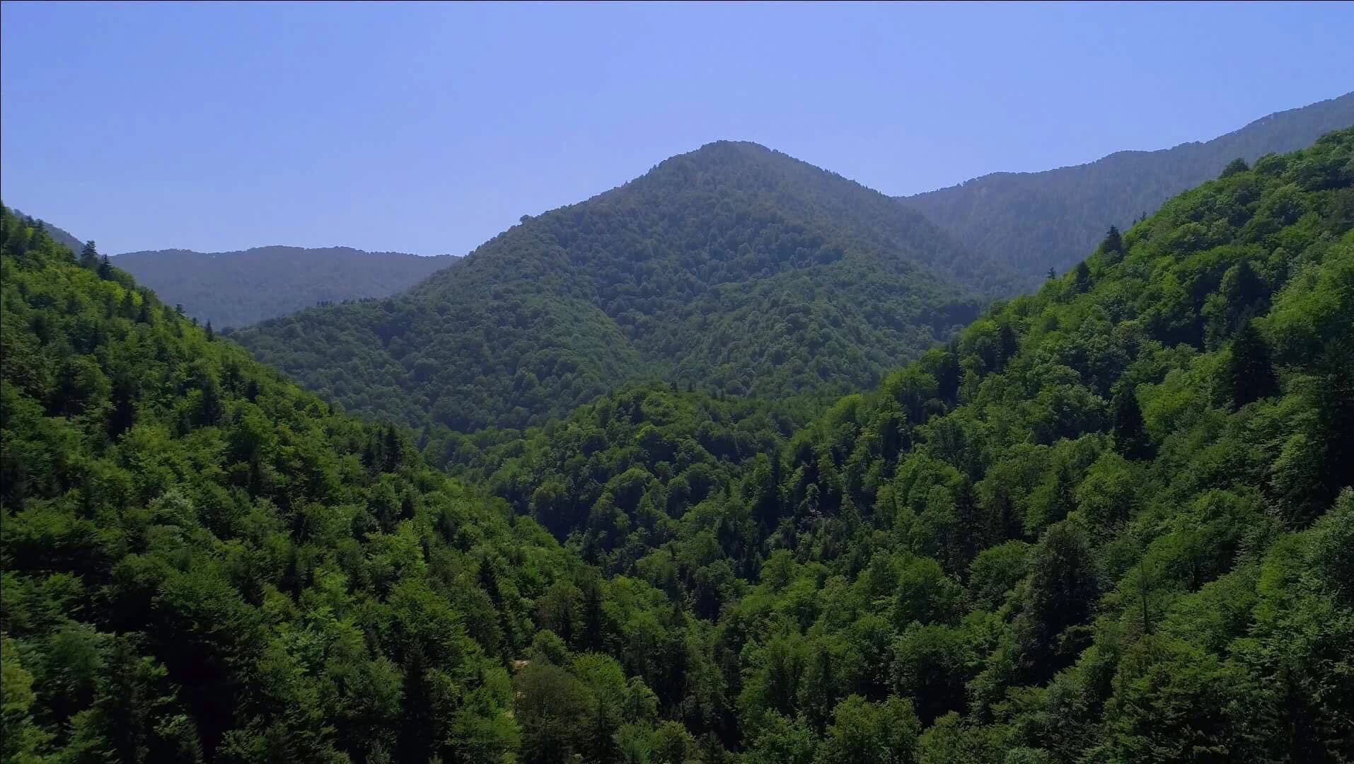 An arial view of Nunisi forest